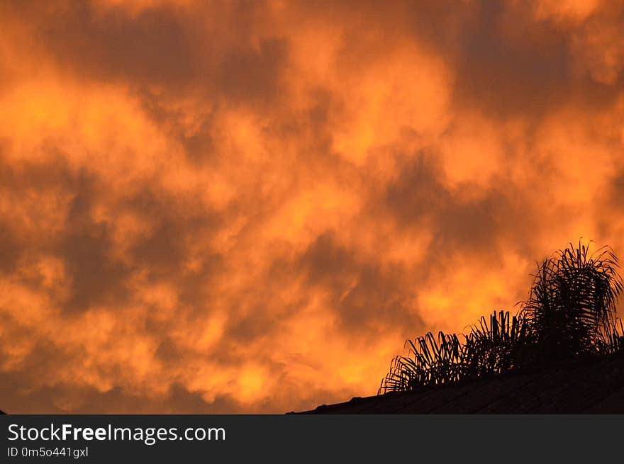 Sky, Red Sky At Morning, Afterglow, Cloud