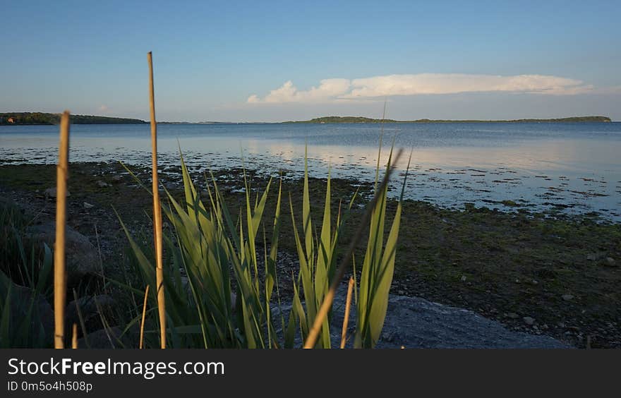 Water, Sea, Sky, Shore