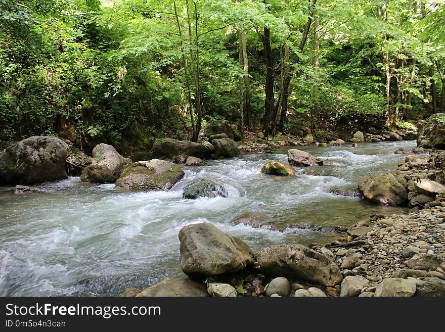 Stream, Water, Nature, Body Of Water