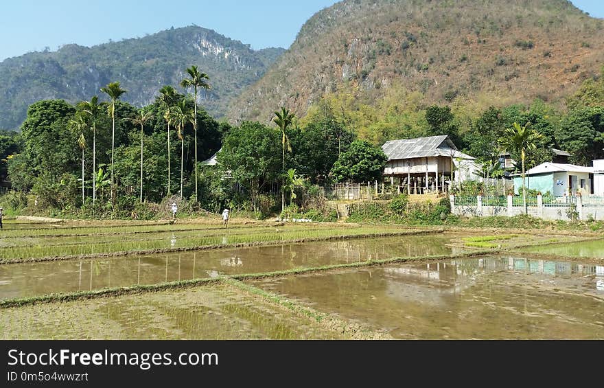 Nature Reserve, Hill Station, Rural Area, Mountain