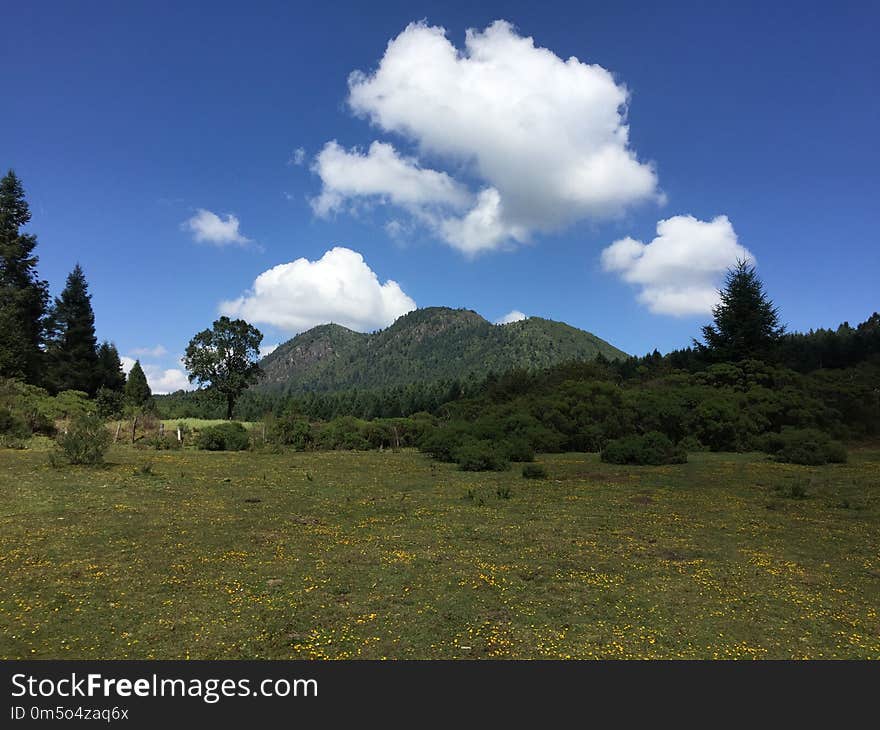 Sky, Grassland, Cloud, Ecosystem