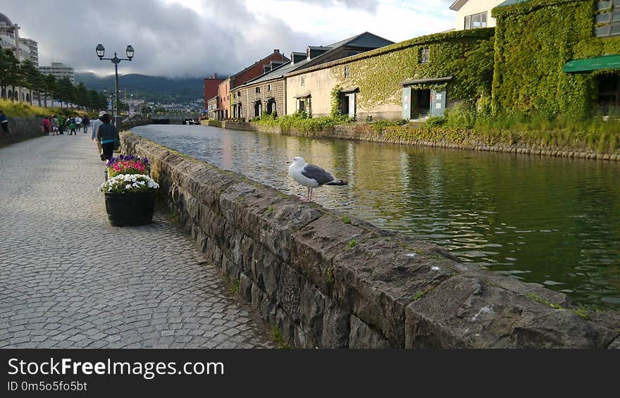 Waterway, Canal, Body Of Water, Town