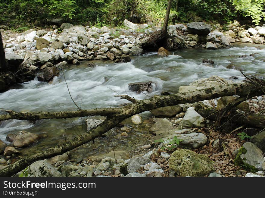 Stream, Water, Water Resources, Body Of Water