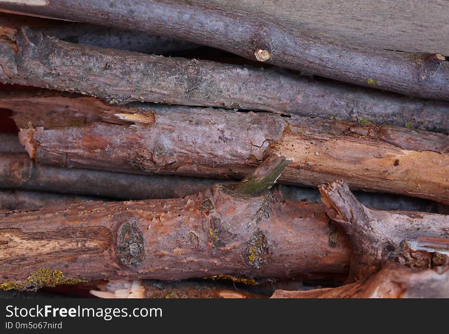 Wood, Trunk, Tree, Lumber