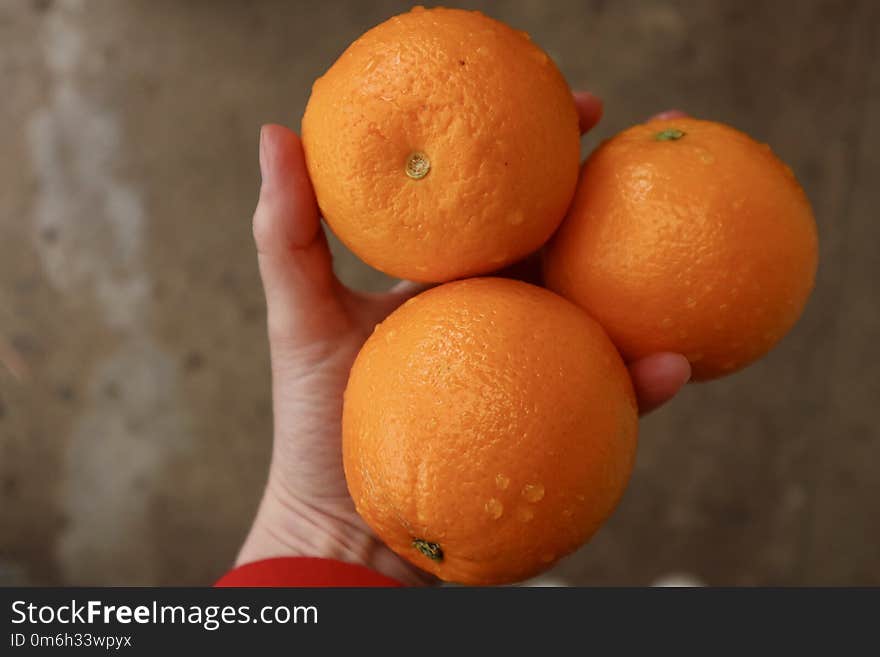 Ripe orange citrus fruit held in hand on a natural background. Vitamin C. Ripe orange citrus fruit held in hand on a natural background. Vitamin C