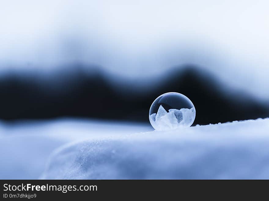 Miniature forests seem to grow on the surface of this frozen soap bubble, perched on snow. Cold tones with generous copy space on a neutral and dark background. Detail rich soap bubble macro image on a large canvas. Winter season macro image. Miniature forests seem to grow on the surface of this frozen soap bubble, perched on snow. Cold tones with generous copy space on a neutral and dark background. Detail rich soap bubble macro image on a large canvas. Winter season macro image.