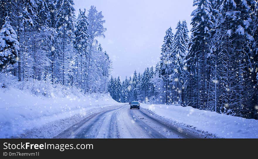 Christmas winter landscape, spruce and pine trees covered in snow on a mountain road