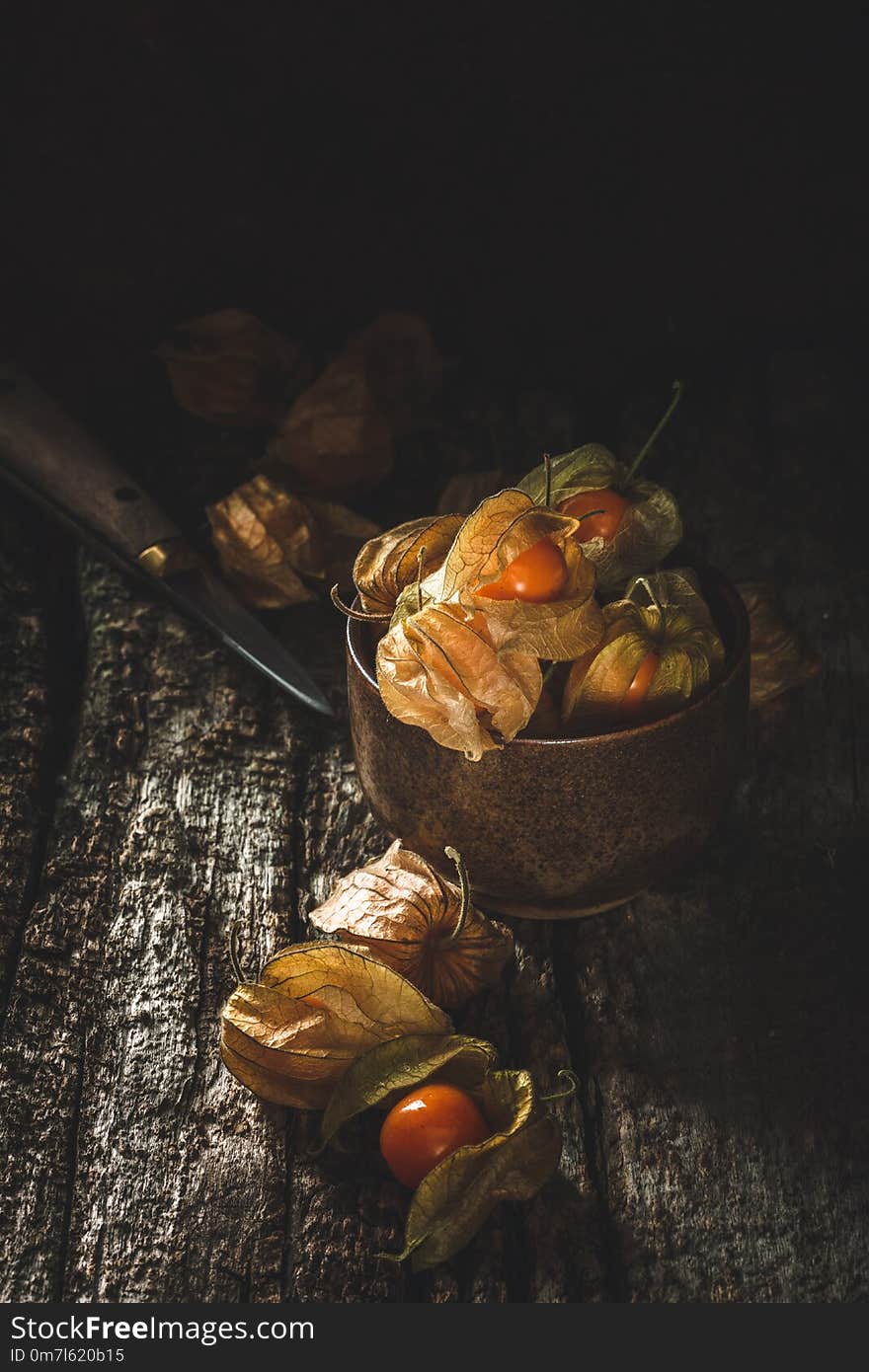 Physalis or Winter Cherry on dark Background