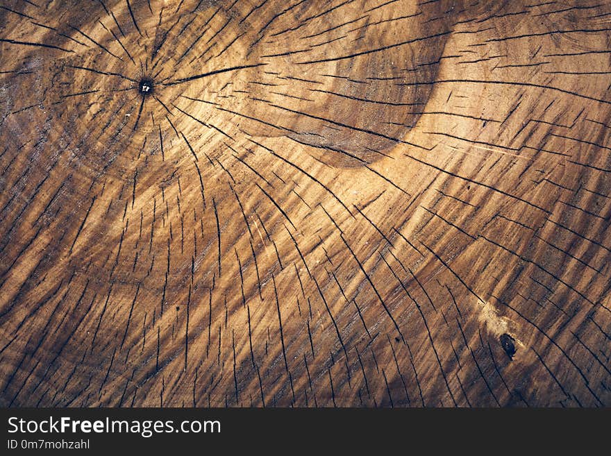 Aged Timber Plank Surface, Log Pattern