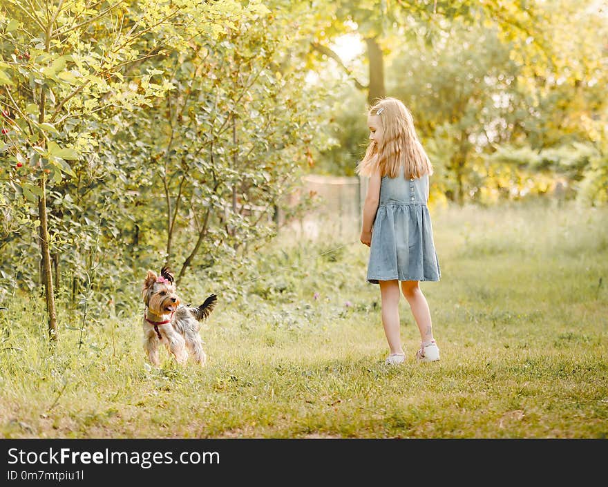 Little girl running with the dog in the countryside