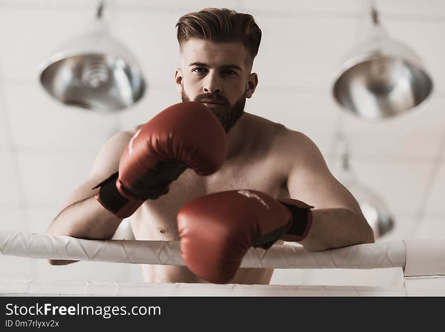 Portrait Of Male Boxer In Gloves On Boxing Ring