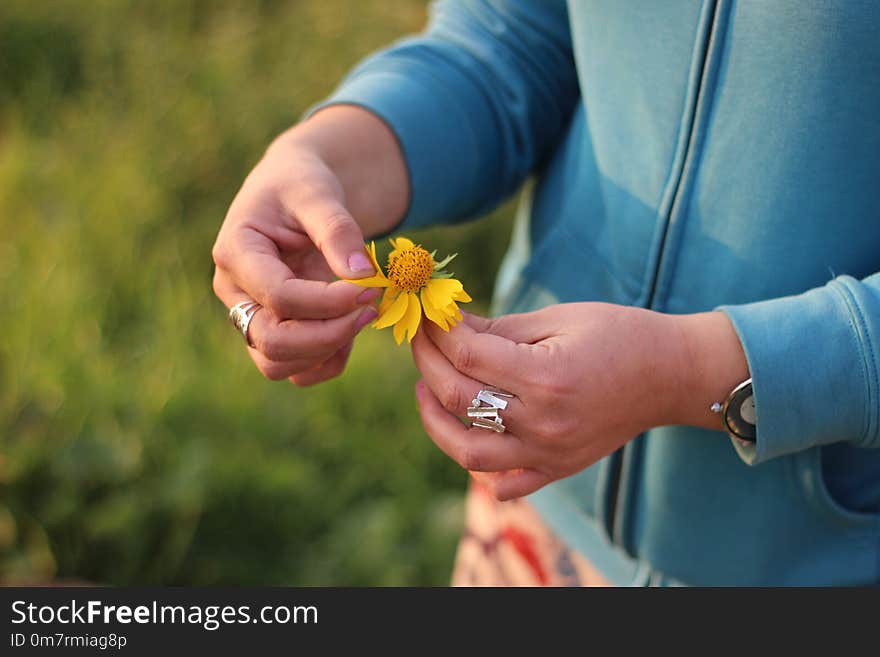 A Woman Holding Yellow Flower