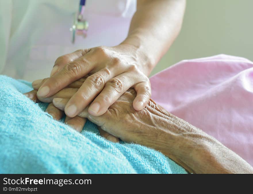 Hospital patient hands to care and old man