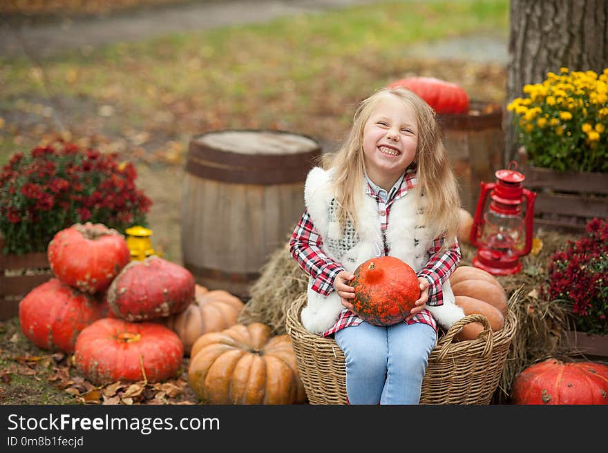 Autumn background. Nature concept. Halloween, Thanksgiving, decoration of the house and garden for the holiday. pumpkins, lanterns. Happy girl sitting on basket box chrysanthemum colorful natural wood yellow blossom flower fresh green season wooden bright leaf beautiful beauty closeup sweet plant baskets grass october bloom bouquet flowers flora romance