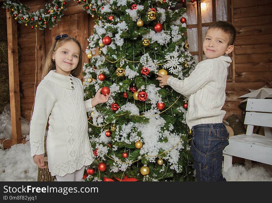 Sister and brother decorating Christmas tree in studio