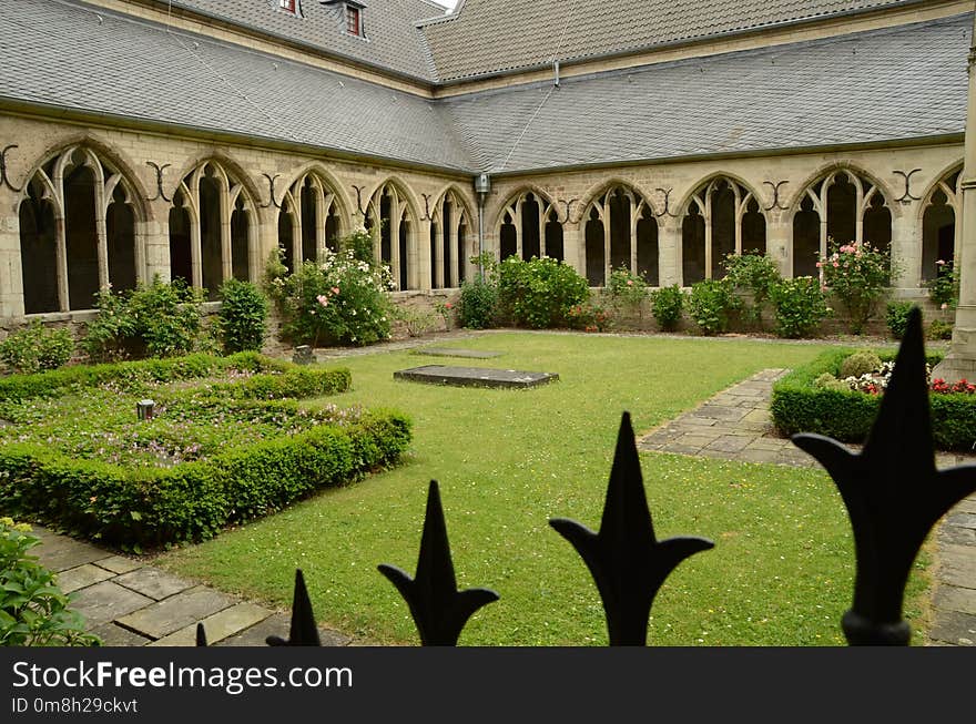 Garden, Courtyard, Grass, Plant