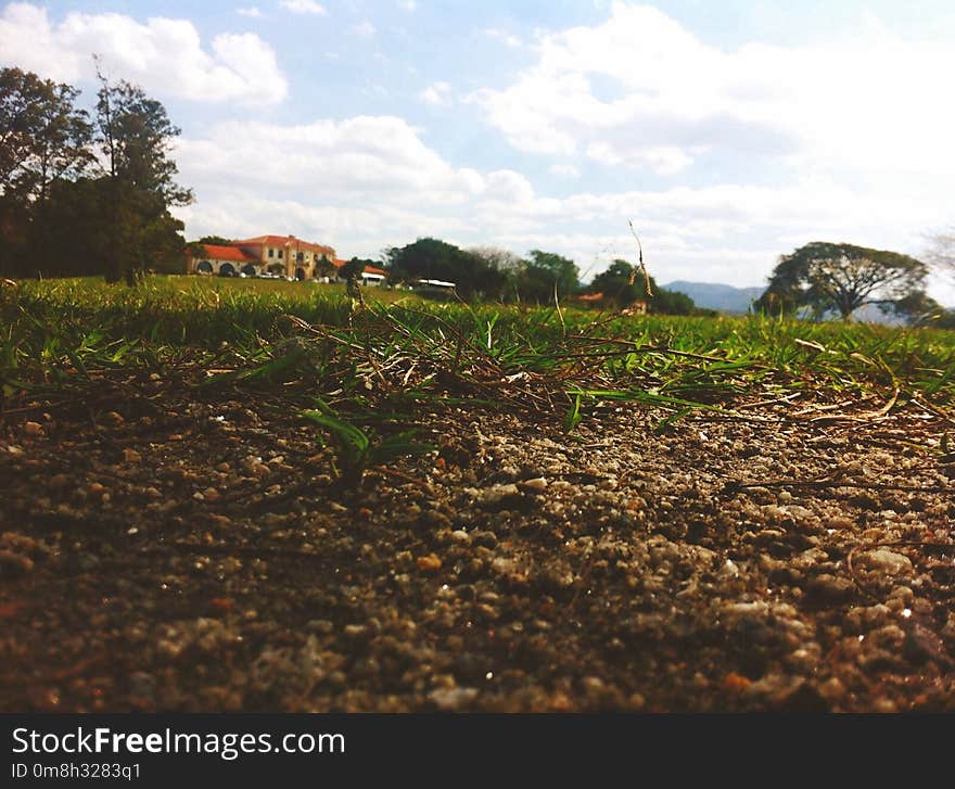 Soil, Vegetation, Sky, Land Lot