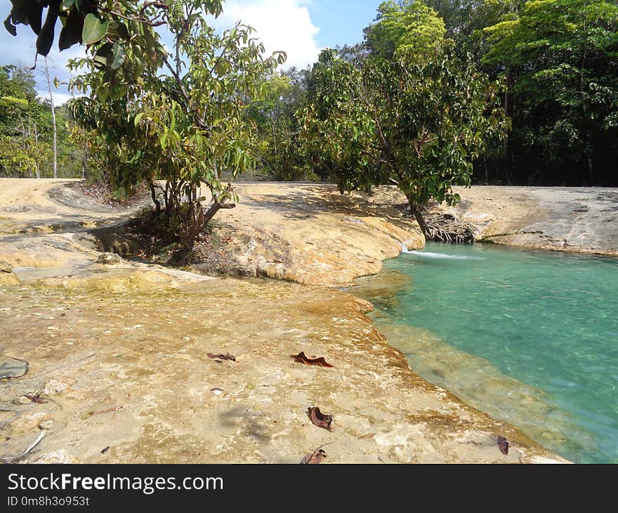 Body Of Water, Nature Reserve, Water Resources, Water