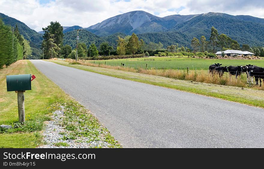 Road, Grassland, Pasture, Path