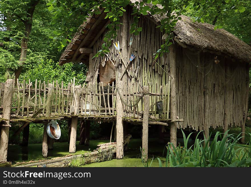 Tree, Hut, Grass, Outdoor Structure