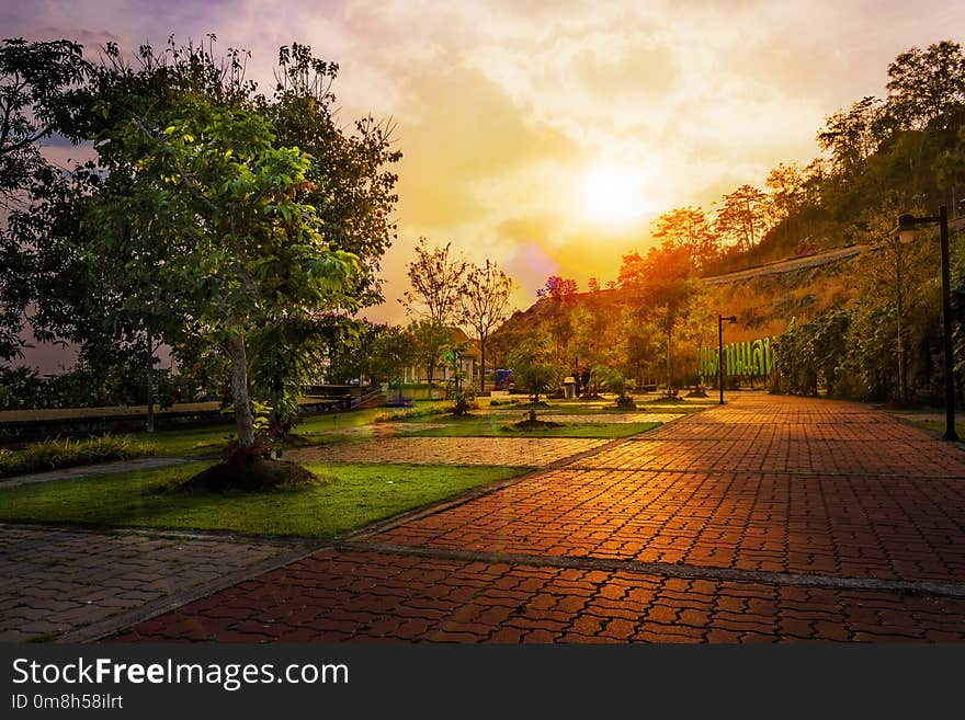 Nature, Sky, Tree, Morning