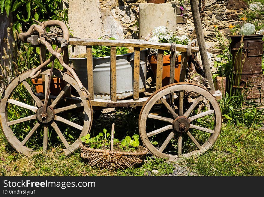 Cart, Vehicle, Plant, Carriage