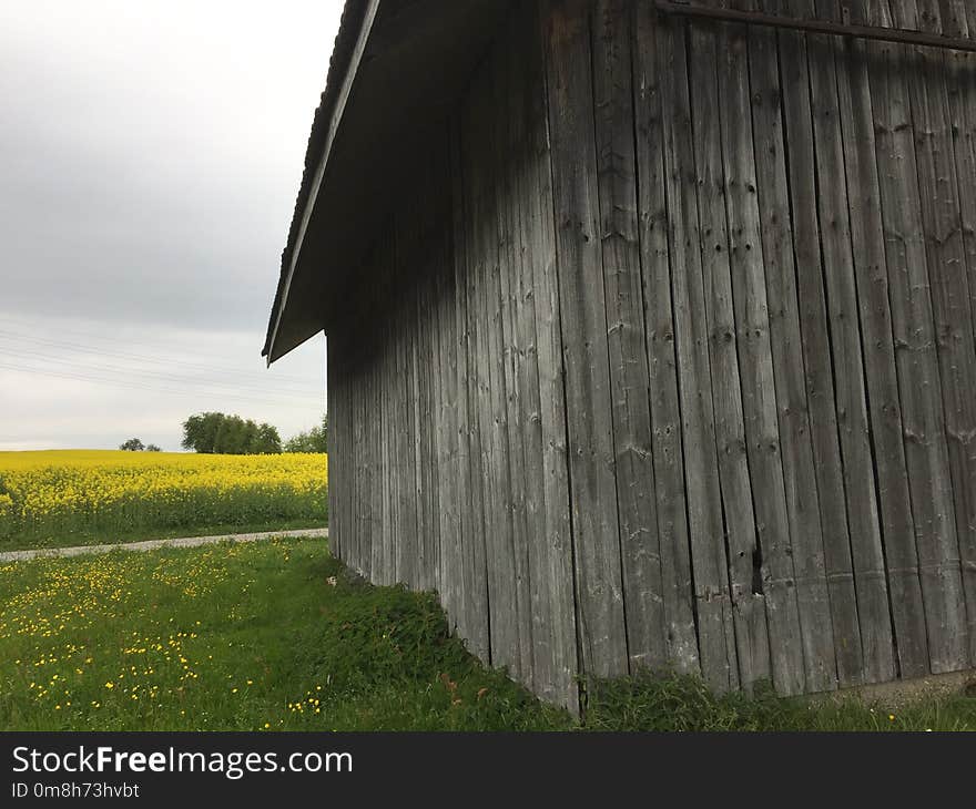 Grass, Sky, Wood, House