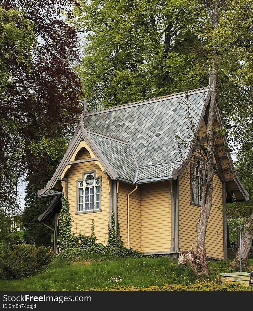 House, Home, Tree, Woody Plant