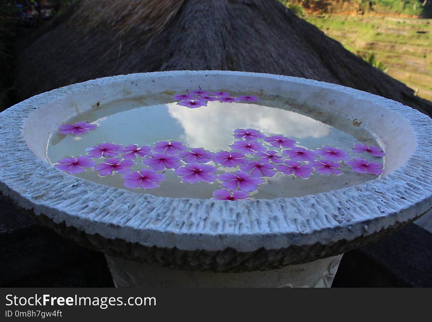 Purple, Violet, Water