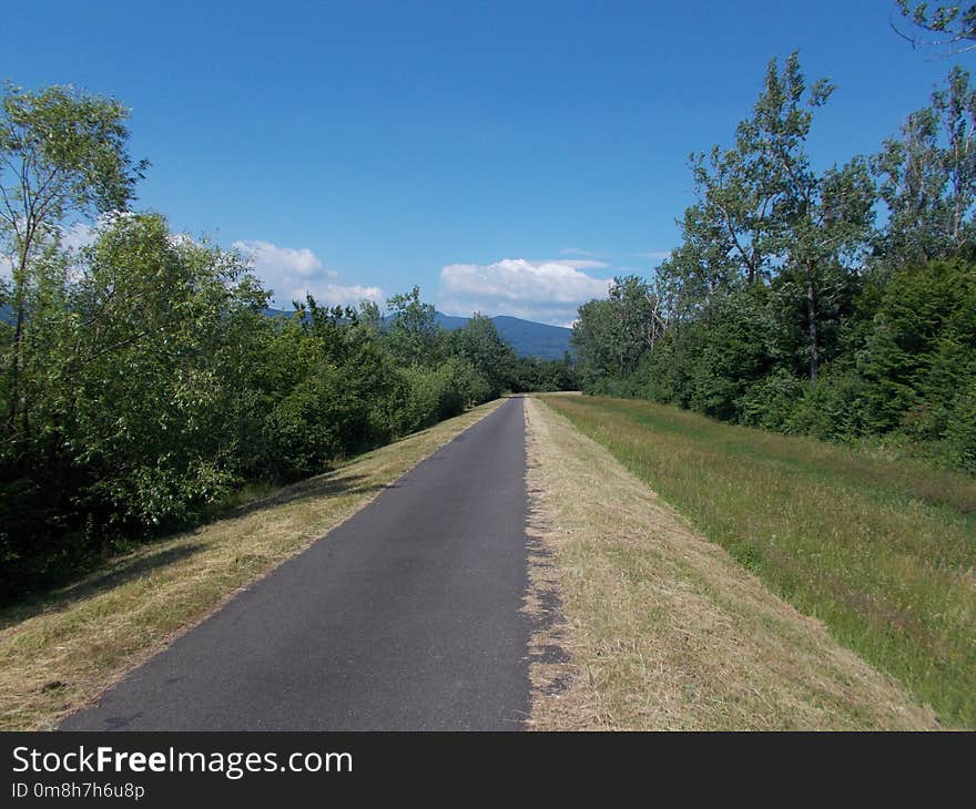 Road, Path, Nature Reserve, Sky