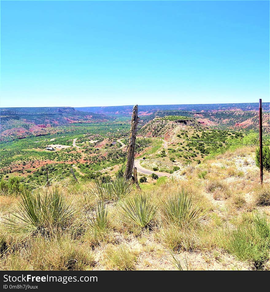 Chaparral, Ecosystem, Shrubland, Vegetation