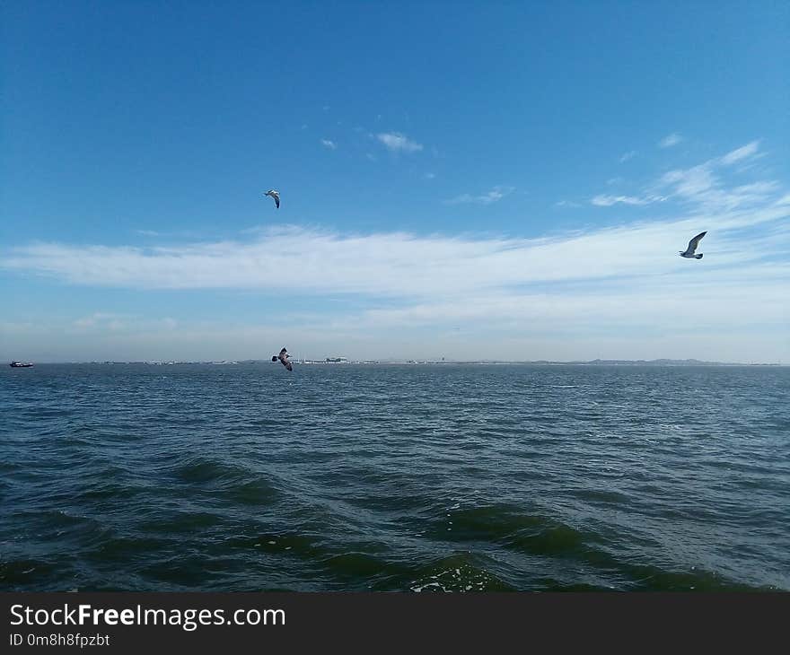 Sky, Sea, Waterway, Boardsport