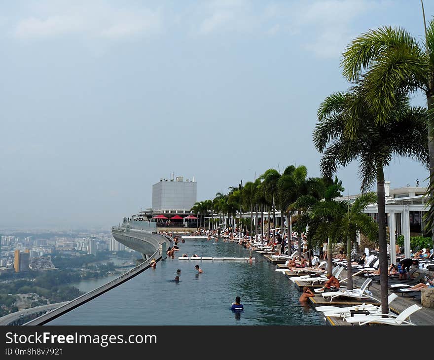 Waterway, Body Of Water, Sea, Palm Tree