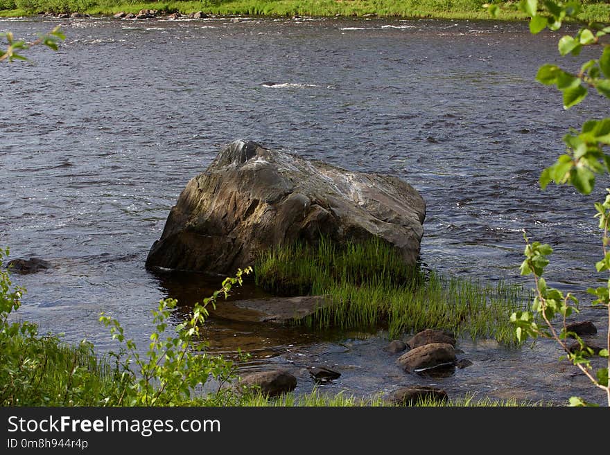 Water, Nature Reserve, Bank, River