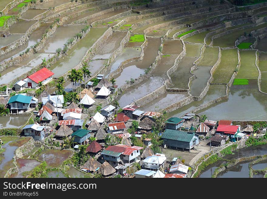 Aerial Photography, Bird's Eye View, Suburb, Residential Area