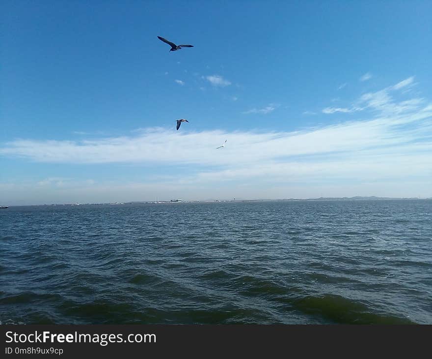 Sky, Sea, Horizon, Ocean