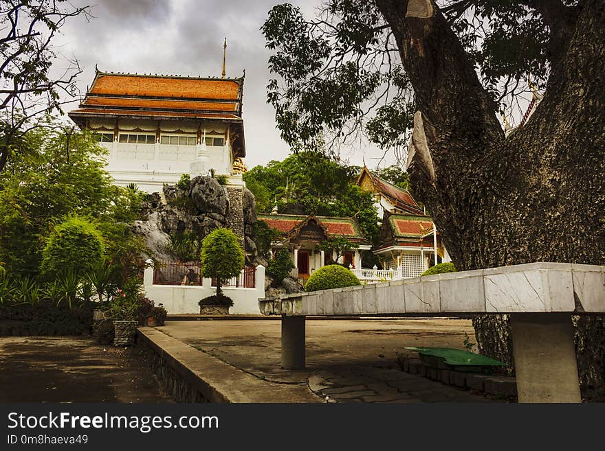 Tree, Building, Plant, Tourist Attraction