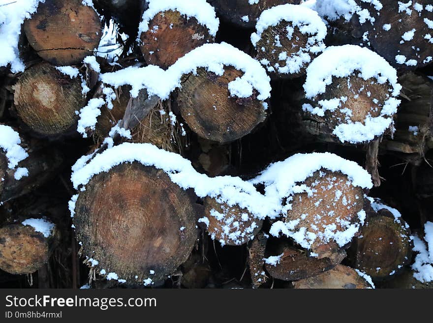 Rum Ball, Muffin, Powdered Sugar