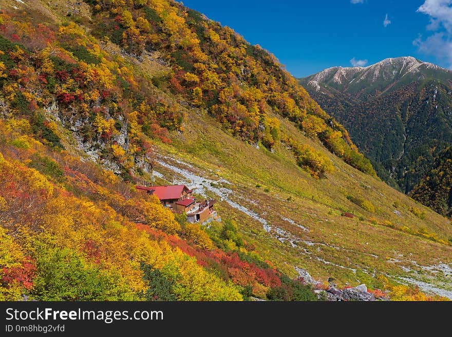 Nature, Leaf, Wilderness, Mountainous Landforms