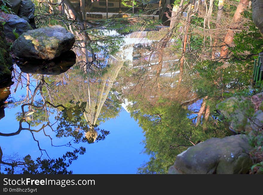 Water, Nature, Body Of Water, Nature Reserve