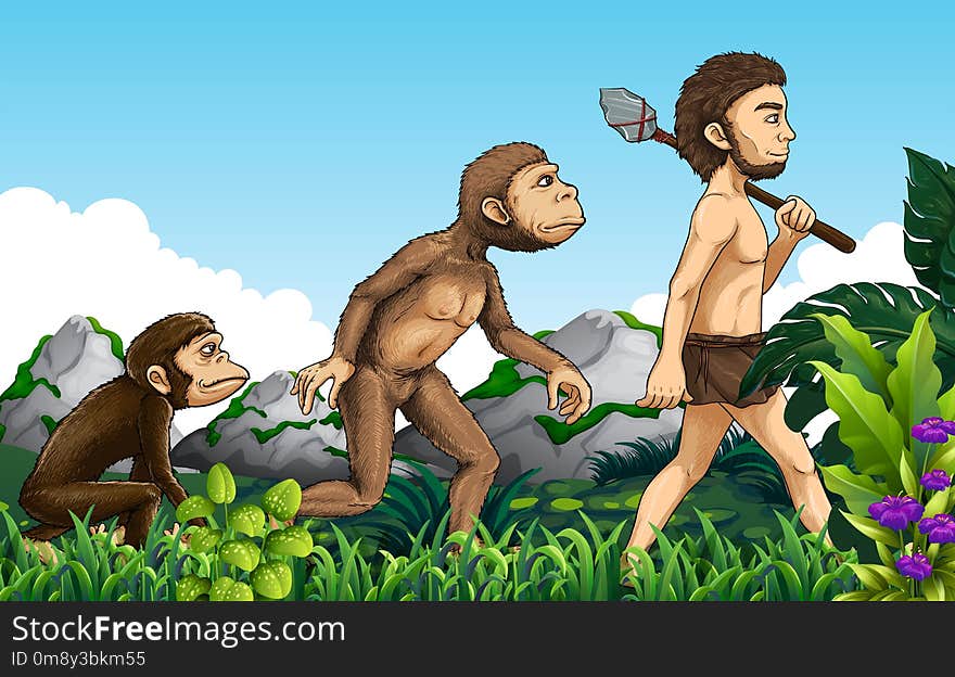 Human Evolution In Nature Background