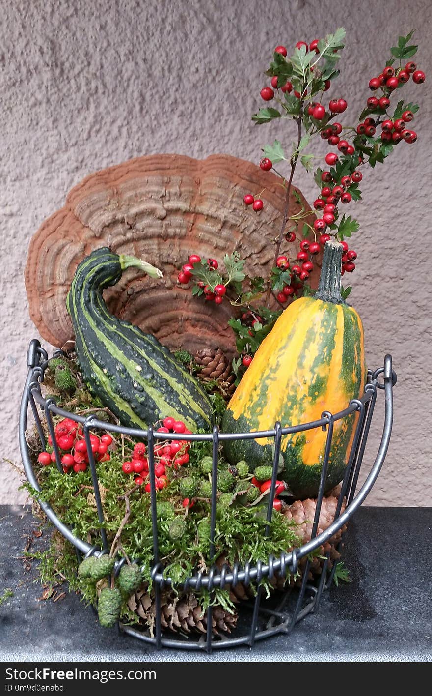 Flowerpot, Plant, Floristry, Flower Arranging