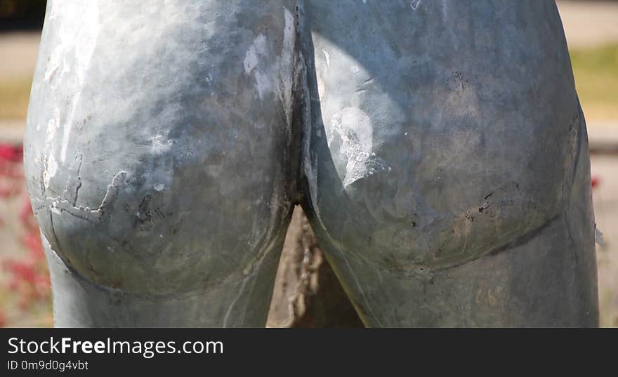 Tree, Automotive Tire, Jeans, Tire