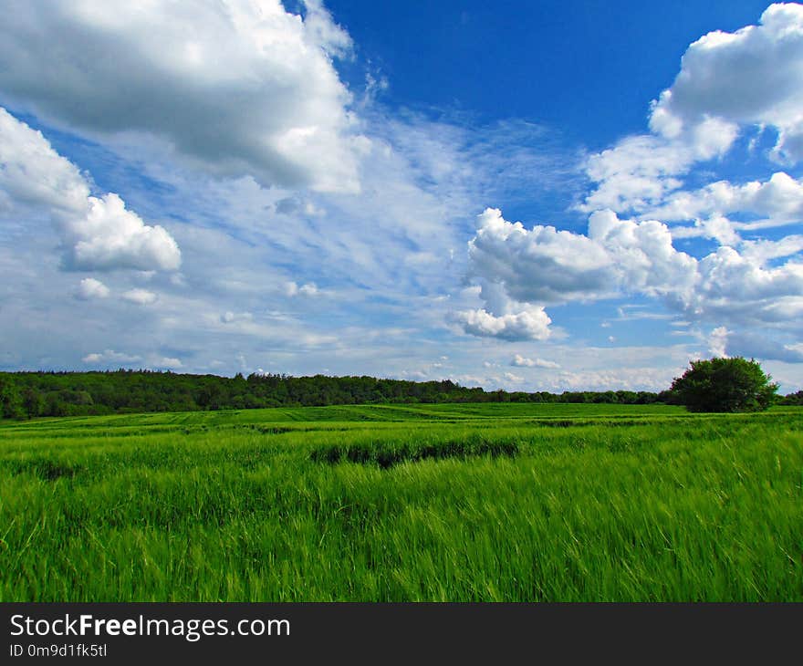 Sky, Grassland, Field, Prairie