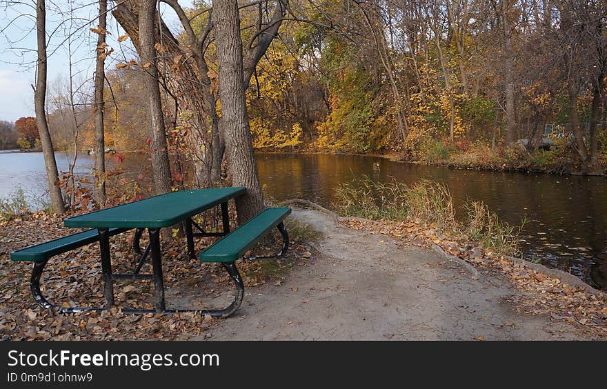 Water, Nature, Nature Reserve, Reflection