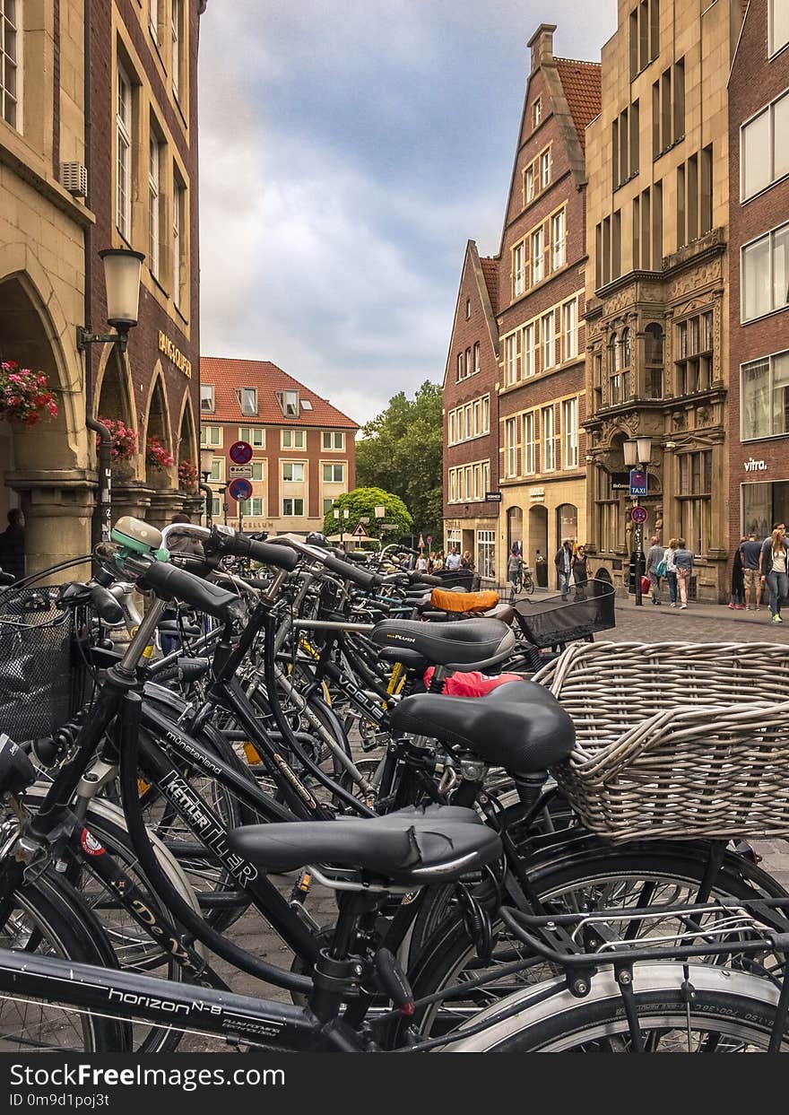 Land Vehicle, Bicycle, Urban Area, City