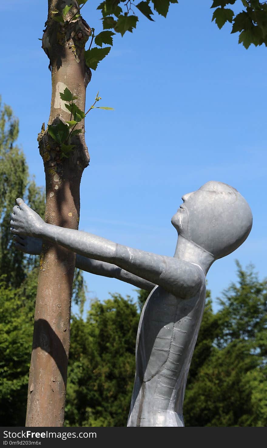 Sculpture, Tree, Statue, Woody Plant