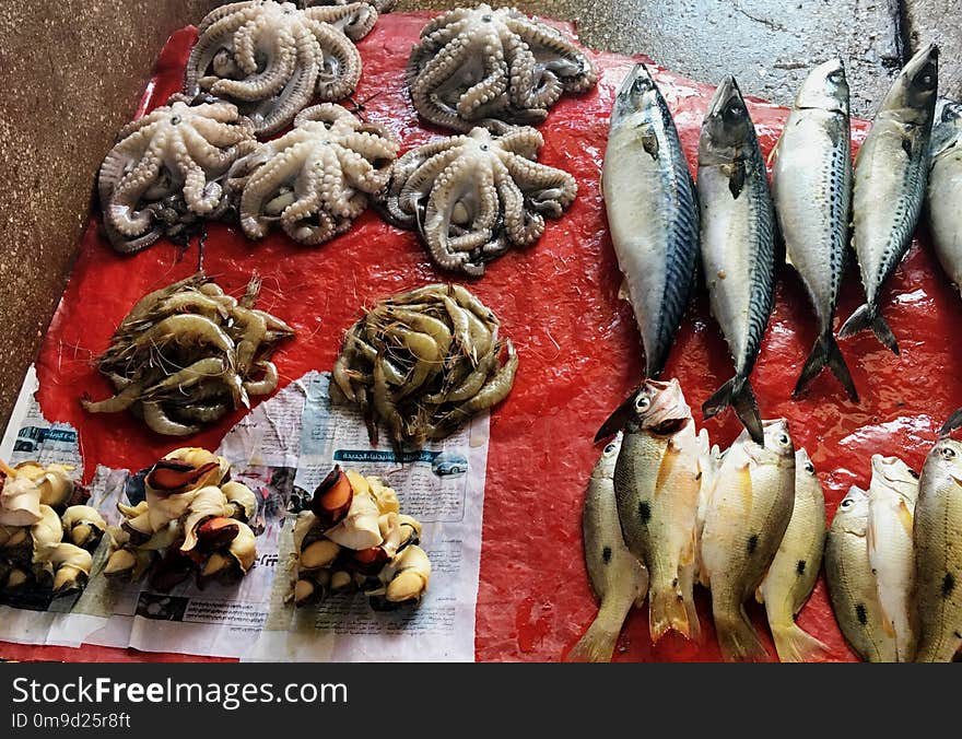 Seafood, Fish Products, Animal Source Foods, Food