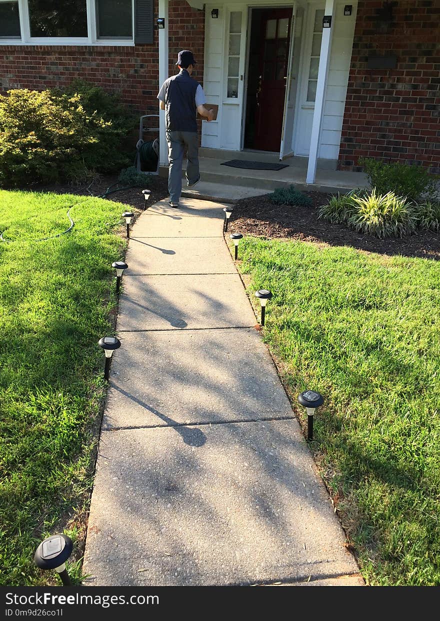 Walkway, Path, Lawn, Grass