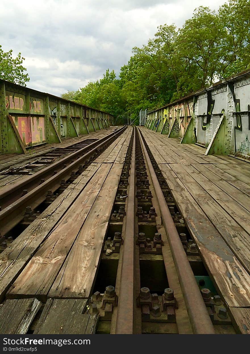 Track, Transport, Rail Transport, Tree